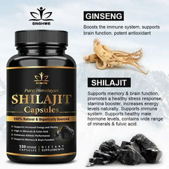Shilajit capsules supplement bottle, black with gold label, with mineral rocks