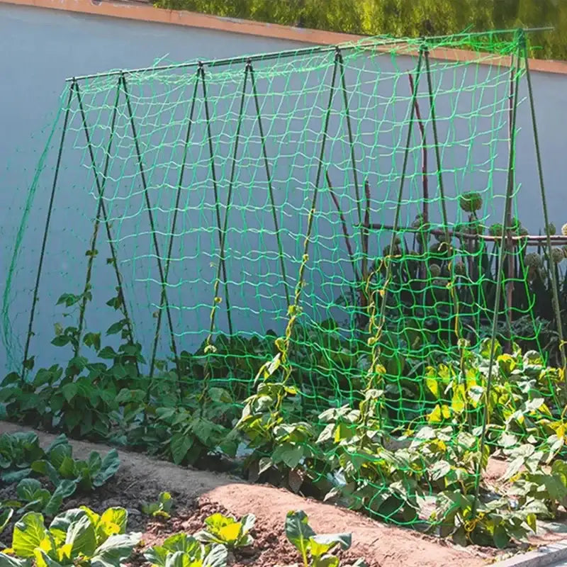 Plant Trellis Pergolas, Heavy-Duty Polyester Grow Net, Garden Trellis Netting With Square Mesh For Climbing Plants, Vegetables,