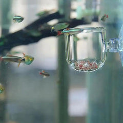 Acrylic Aquatic Plant Cup Aquarium Fish Tank Glass Plant Pot with suction holder Feeding Container Stand for Aquarium Lanscape