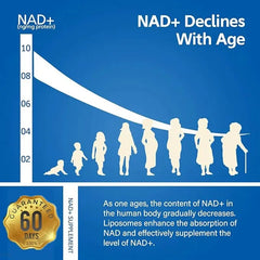 مكمل NAD+ - كبسولات نيكوتيناميد ريبوسيد الليبوسومية مع ريسفيراترول وكيرسيتين لمكافحة الشيخوخة، وصحة الخلايا والجلد