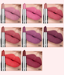 أحمر شفاه Langmani Silver Tube Matte Lipstick Non Staying Cup Makeup أحمر شفاه متوفر بـ 8 ألوان