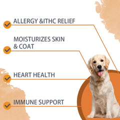 30 Soft Chews Skin & Coat Supplement for Dogs with Omega 3, 9 & Vitamin E For Fur  Health Support（Beef flavor）