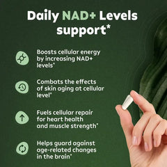 مكمل NAD+ - كبسولات نيكوتيناميد ريبوسيد الليبوسومية مع ريسفيراترول وكيرسيتين لمكافحة الشيخوخة، وصحة الخلايا والجلد