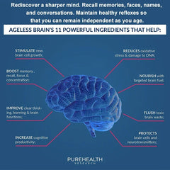 Nootropic Brain & Focus Supplement - Neurokines & B Vitamins - for Memory, Mental Focus, Cognitive Function & Learning Accuracy