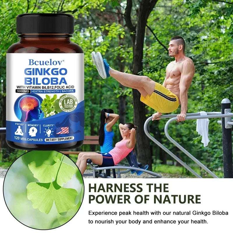 Ginkgo Biloba Capsules Memory Support Supplement, Brain Function & Mental Alertness, Focus, Concentration, with Vitamin B6 B12