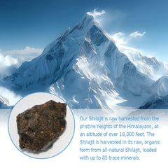 Shilajit - Increases Energy and Vitality, Supports Memory and Brain Function, Non-GMO