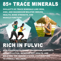Shilajit - Brain, Focus, Memory and Immune Health, Reduce Fatigue and Improve Endurance