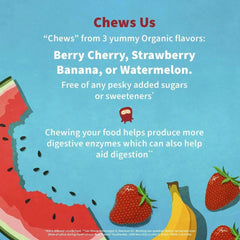 Garden of Life Dr. Formulated Probiotics Organic Kids+ – Strawberry Banana, 30 Chewables - Mumzar