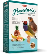 Padovan Grandmix Esotici small exotic bird feed box with bird and fruit graphics
