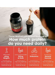 Optimum Nutrition Gold Standard 100% Whey Protein Powder – Double Rich Chocolate (1 lb / 454g)