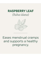 Organic Raspberry Leaf Tea | Menstrual Cramp & Pregnancy Support | Caffeine-Free Herbal Tea | 16 Tea Bags