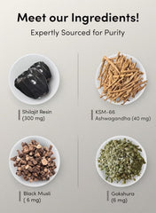 Man Matters Pure Himalayan Shilajit Gummies | 60 Vegan Gummies | With KSM-66 Ashwagandha, Gokshura, Black Musli & Ginseng | Sugar-Free Energy & Strength Booster