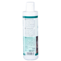 Padovan Charmy 1 Shampoo [Volume - 250ML]