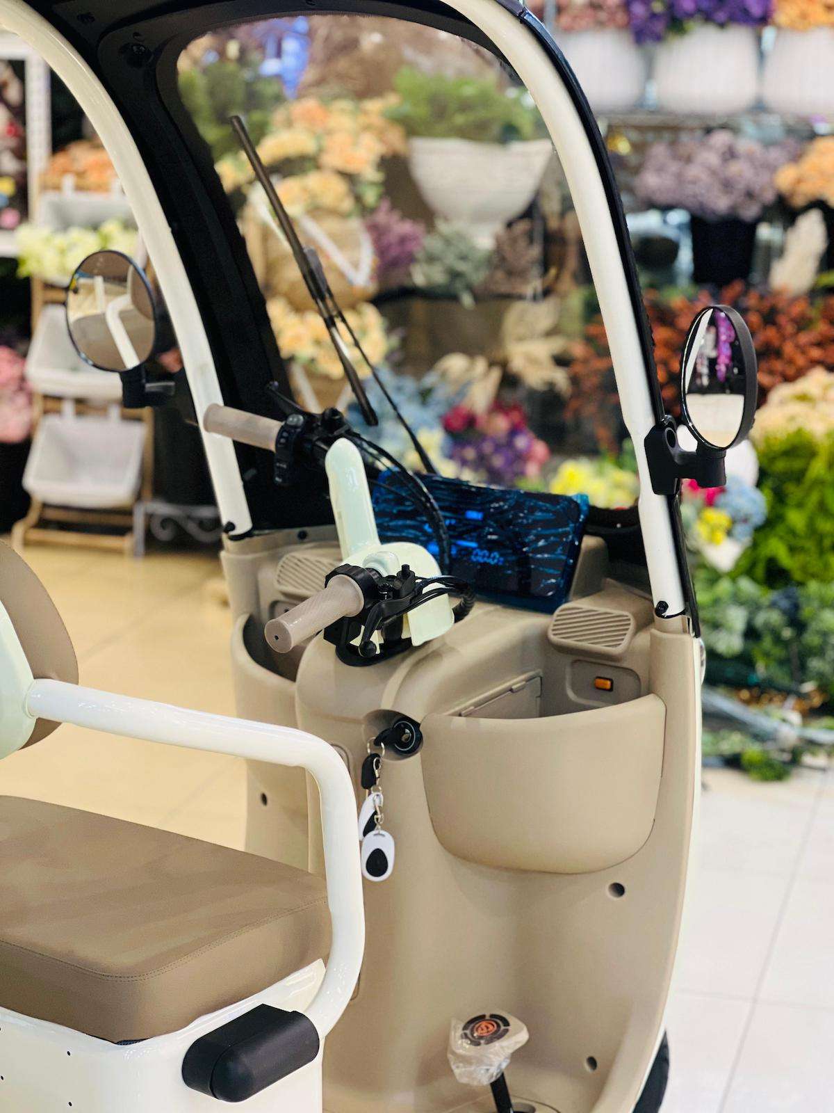 RohaN Wings C6 Electric Tricycle [60V 20Ah | 800W Motor | Range 35–60km | 3-Wheel Design]