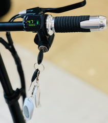 RohaN Wings KQ02 Electric Scooter [48V 13Ah | 350W Motor | 45km/h | Range 25–29km]