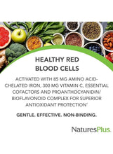 Iron supplement label text 'Healthy Red Blood Cells' and ingredient claims