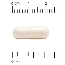 Beige vegetable capsule with size ruler markings