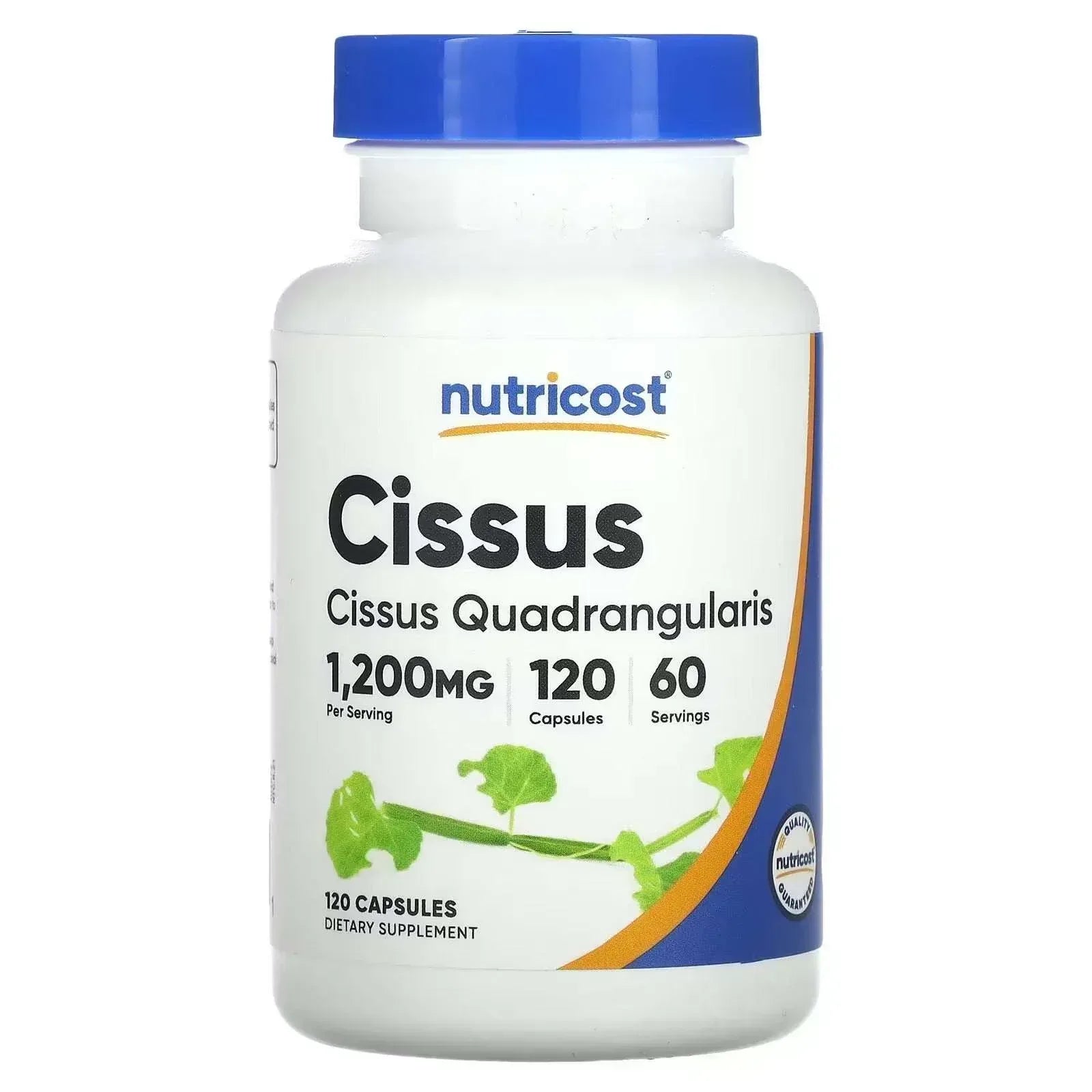 Nutricost Cissus Capsules, 600 mg, 120 Capsules - Mumzar