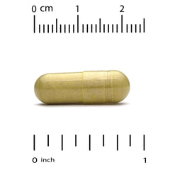 California Gold Nutrition, Berberine Advanced, Berbevis Phytosome with Berberine Phospholipid Complex with Sunflower Lecithin, 550 mg, 60 Veggie Capsules - Mumzar