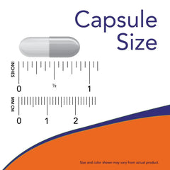 NOW Foods Alpha Lipoic Acid – 100 mg, 120 Veg Capsules - Mumzar