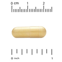 S.A.T.® softgel capsule, tan, with measurement scale for size
