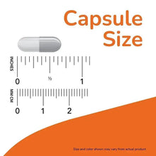 Capsule size chart with translucent capsule and inches/CM measurement lines