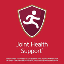 Joint health support emblem with shield icon