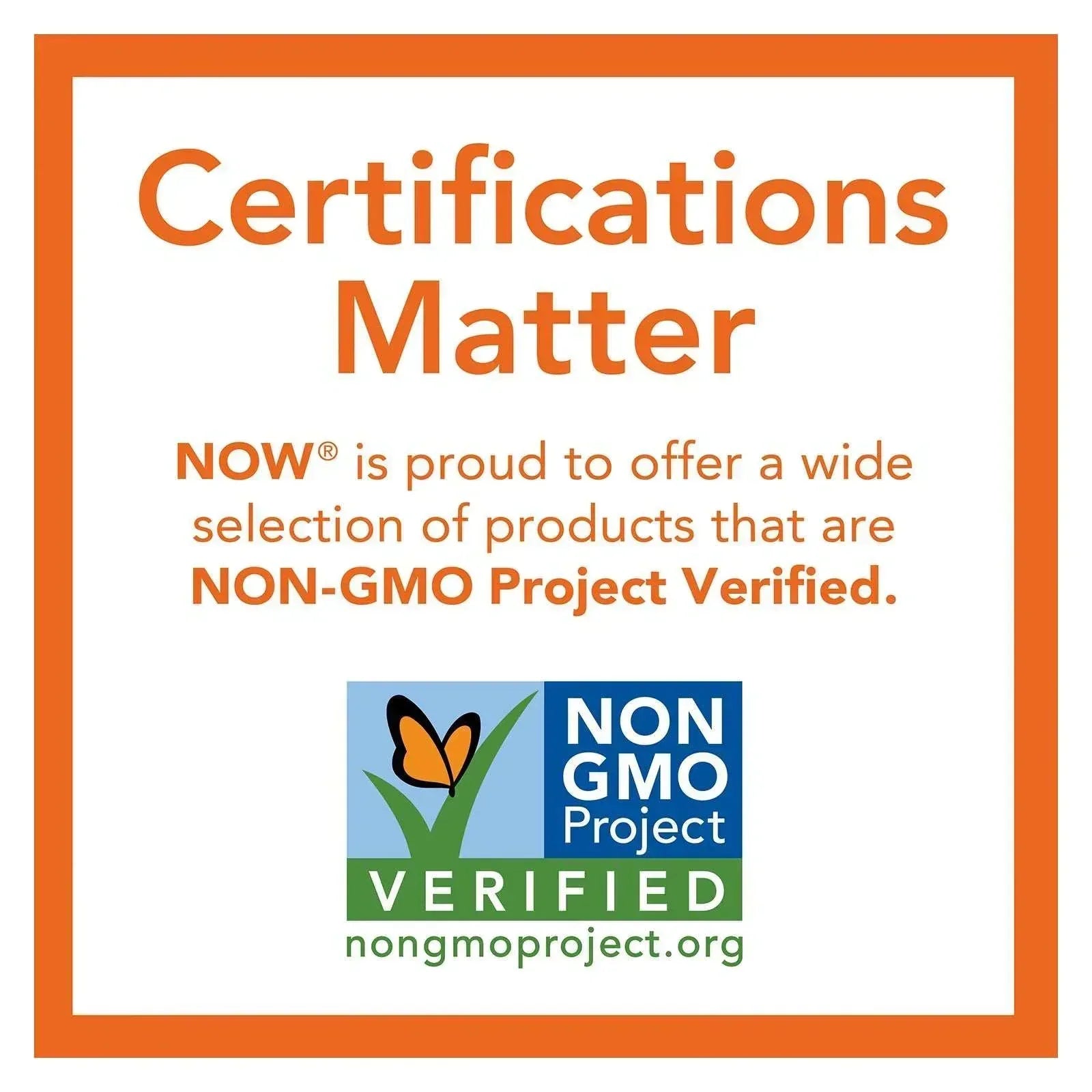 NOW Foods Sunflower Lecithin Pure Powder – 1 lb (454 g) - Mumzar