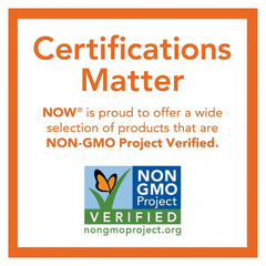 NOW Foods Sunflower Lecithin Pure Powder – 1 lb (454 g) - Mumzar