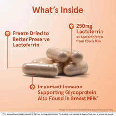 Jarrow Formulas Lactoferrin, Freeze-Dried – 250 mg, 60 Capsules - Mumzar