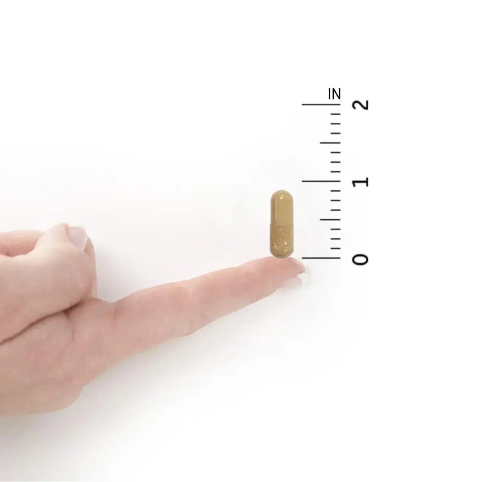 Garden of Life RAW Probiotics Colon Care – 30 Vegetarian Capsules - Mumzar