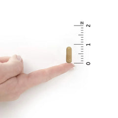 Garden of Life RAW Probiotics Colon Care – 30 Vegetarian Capsules - Mumzar