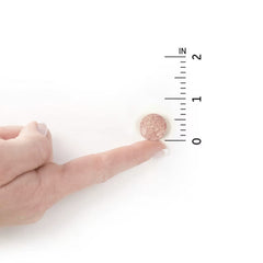 جاردن أوف لايف دكتور فورميولتد أورجانيك كيدز+ بروبيوتيك مع فيتامينات سي ودي - بنكهة التوت والكرز، 30 قرصًا للمضغ