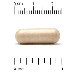 مكمل غذائي من كاليفورنيا جولد نيوتريشن فانجيولوجي® مشريكس بلس – مركب من عشرة أنواع من الفطر، 120 كبسولة نباتية