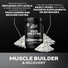 MuscleTech Platinum 100% Creatine Monohydrate Powder Pure Micronized Muscle Recovery, Helps Increase Muscle Power, Boost Strength and Enhance Performance for Men & Women, Unflavored 400 grams - Mumzar