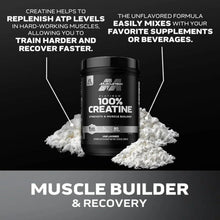Muscletech Platinum 100% Creatine unflavored supplement jar with powder backdrop