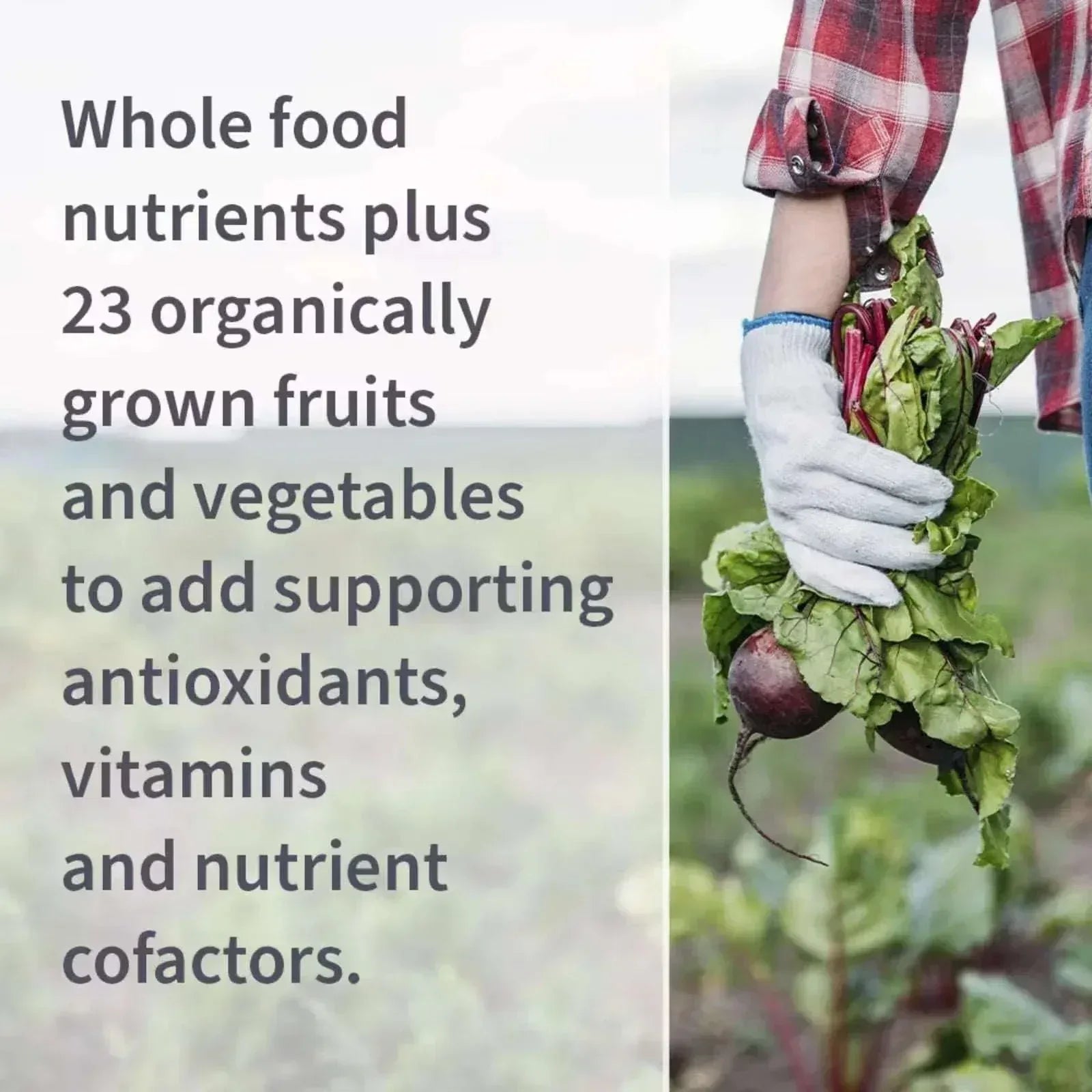 Garden of Life, Vitamin Code®, RAW Vitamin C™, 120 Vegan Capsules - Mumzar