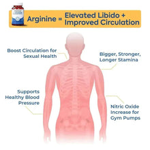 L-Arginine circulation infographic with supplement label and human body diagram