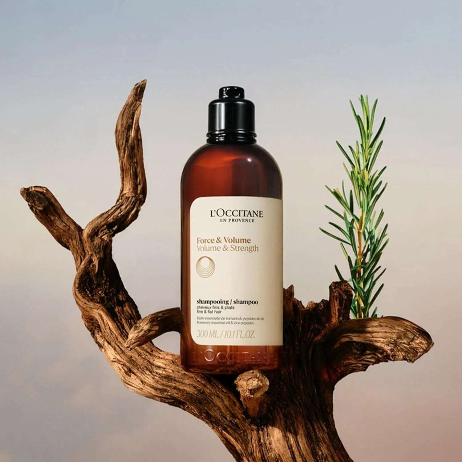 L'Occitane Cherry Blossom Treat - Mumzar