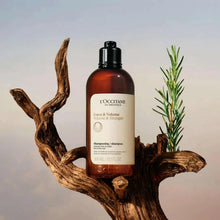 Shampoo bottle with black pump, amber-brown bottle and white label among branches