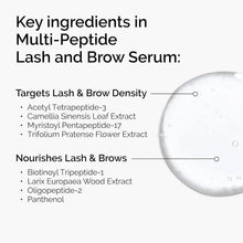 The Ordinary Multi-Peptide Lash and Brow Serum key ingredients graphic