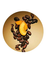Perfume ingredient artwork with coffee beans and pear-like fruit in a gold circle