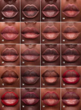Lip liner shade swatches grid with dark nude, brown, and red tones.