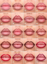 Lip liner shade swatches grid with multiple pink and red lip shades.