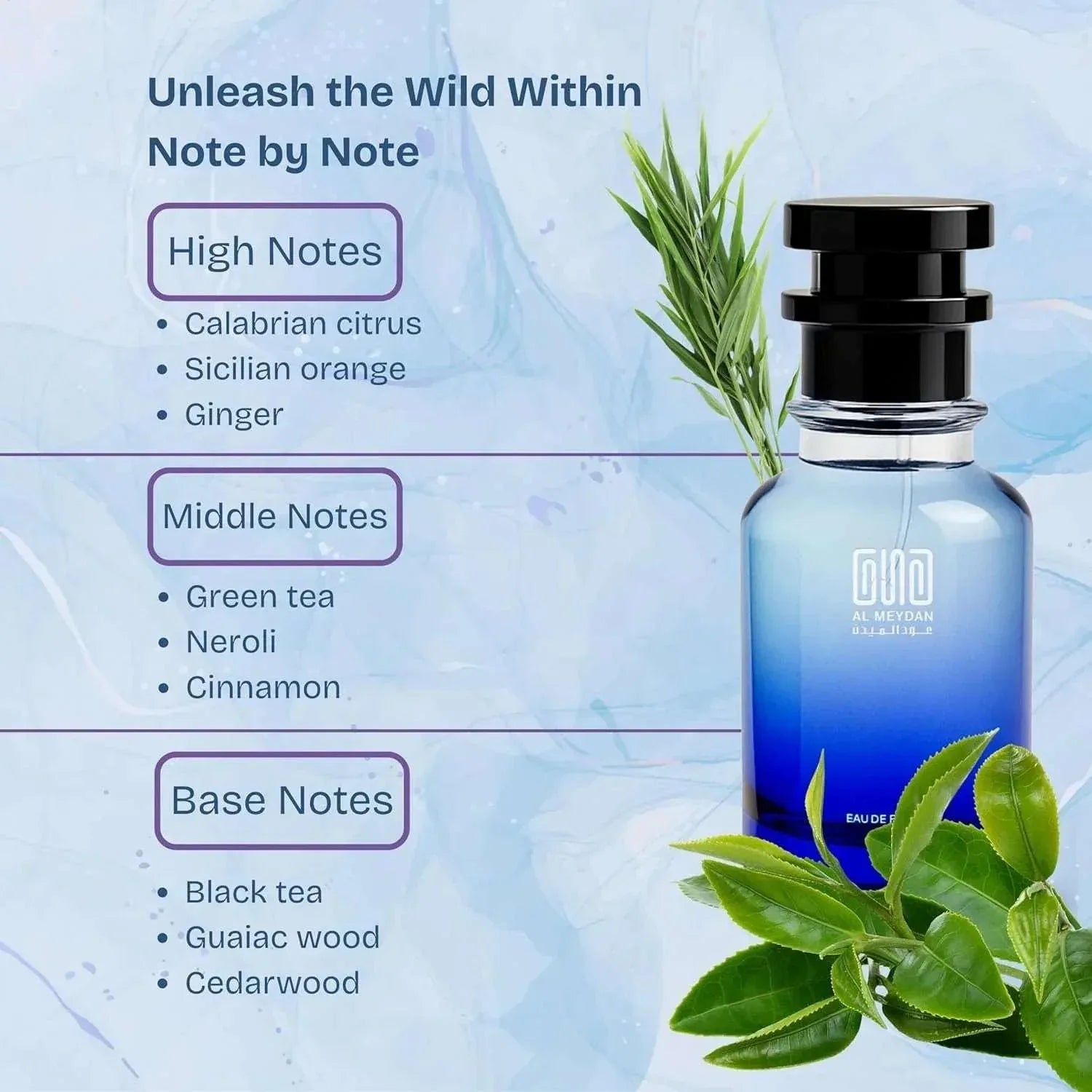 Oil Based Perfume for Men Long-Lasting Imagination Inspired Citrus Herbal Woody Attar Alcohol-Free
