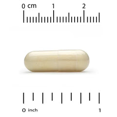 California Gold Nutrition مستخلص لحاء الصنوبر البحري الفرنسي (Oligopin®) 100 ملجم – دعم مضادات الأكسدة – 60 و 180 كبسولة نباتية