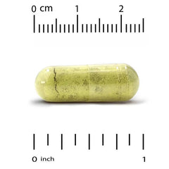 California Gold Nutrition Quercetin 500 mg – Antioxidant & Immune Support – 180 Veg Capsules
