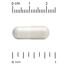 White capsules on a measurement scale, 0 to 1 inch
