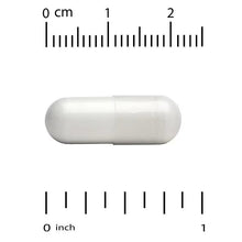 White capsule with ruler scale, 0 to 1 inch