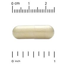 Light beige veggie capsule with measurement scale for length